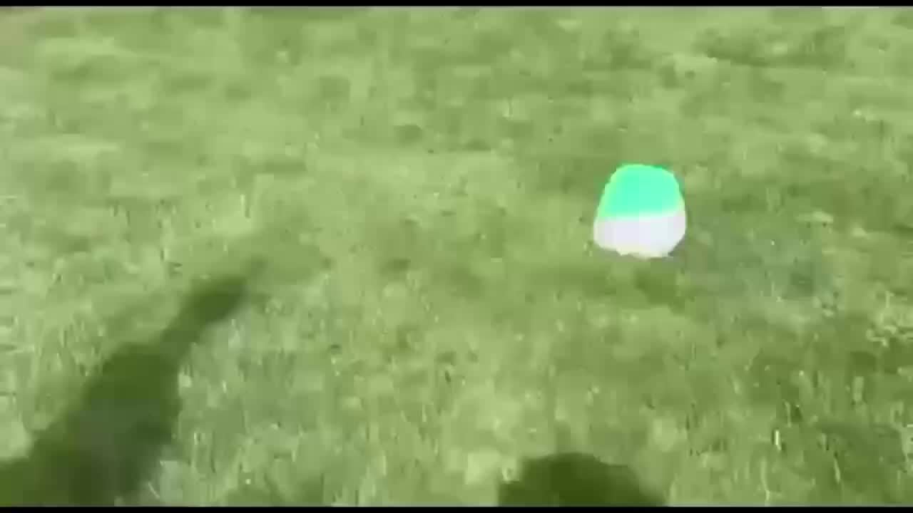 Automatic Dog Ball Launcher