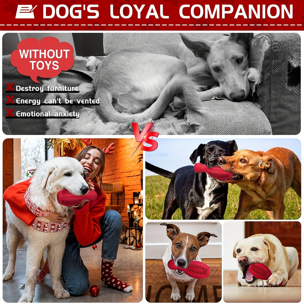 Interactive Bowling Ball Dog Chew Toy