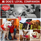 Interactive Bowling Ball Dog Chew Toy