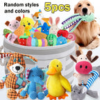 5 Random Style Dog Squeak Toy Set